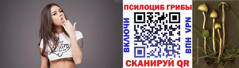 Галлюциногенные грибы MAGIC MUSHROOMS гидра сайт Ноябрьск